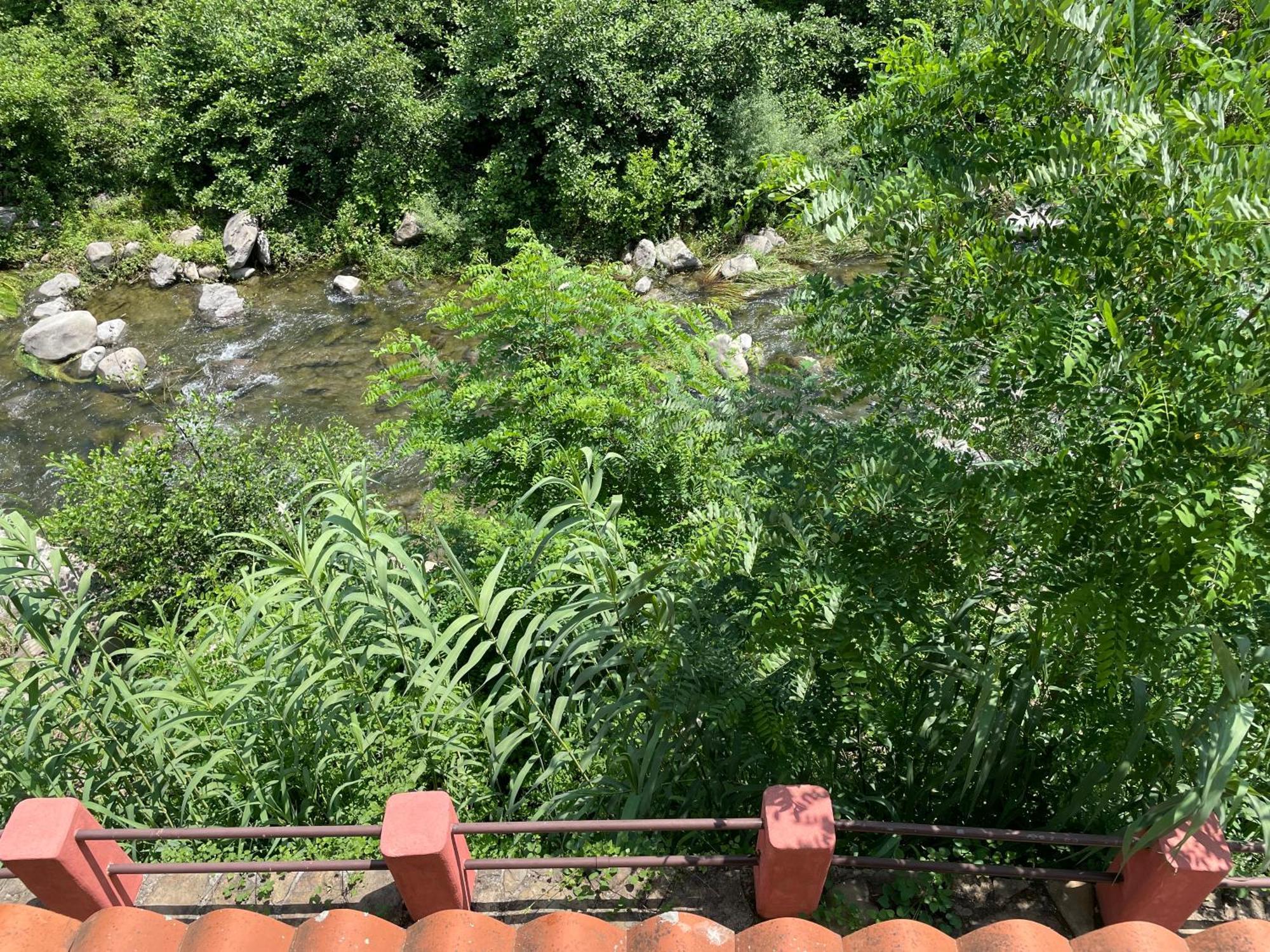 Agriturismo Del Gao Isolabona Ngoại thất bức ảnh